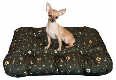 Produktbild von Dogs 4 Life Hundebett Kissen 70x50 cm wasserabweisend