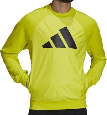 Produktbild von Adidas Sweatshirts Sportswear Fabric Block Sweatshirt, GL5674, Größe: 164