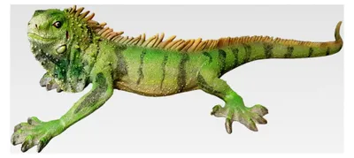 Produktbild von Leguan Gartenfigur 60 cm – Reptilien Teichfigur aus Kunstharz