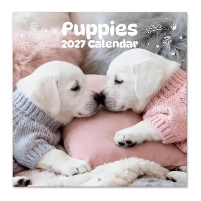 Immagine prodotto di Grupo Erik Hündchen: Calendario 2027, calendario da parete, calendario per la famiglia, idee regalo