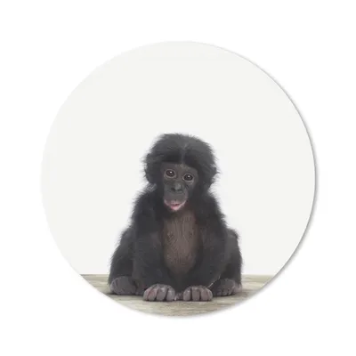 Produktbild von MuchoWow® Mauspad Mousepad Tiere - Schimpanse - Baby 40x40 cm - Mousepads - Maus Mat - Pad - Mausunterlage - Schreibtisch Accessoires