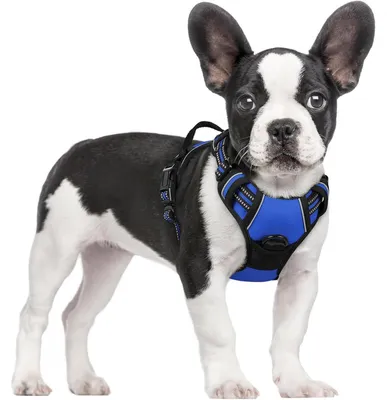 Image de Harnais pour chien anti-traction avec contrôle, réglable, respirant, avec réflecteur, couleur bleu, taille S