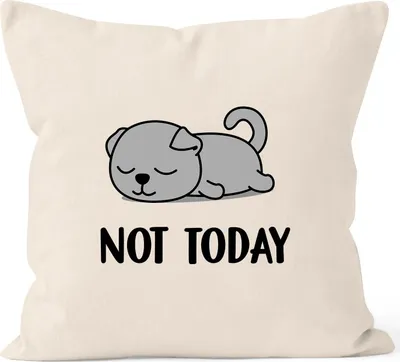 Produktbild von Kissen-Bezug Not Today Kissen-Hülle Chillen Faulenzer MoonWorks® Katze natur unisize