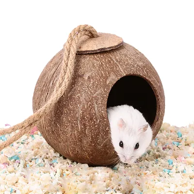 Produktbild von Versteckhaus Aus Kokosnussschalen Für Hamster, Einsiedlerkrebse, Reptilien, Igel, Meerschweinchen, Natürliche Lebensraumkäfigdekoration