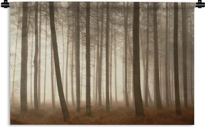 Produktbild von MuchoWow® Wandteppich Wandbehang Wald - Nebel - Baum 60x40 cm Tapisserie Dekoration Wandtuch - Wanddekorationen
