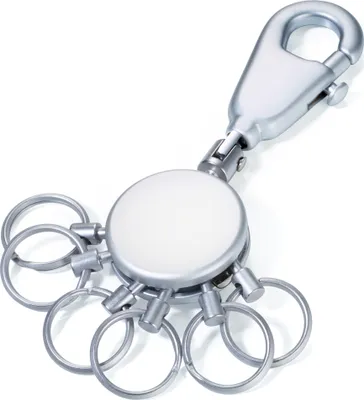 A silver retractable keychain with multiple key rings and a carabiner clip, isolated on a white background.