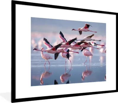 Produktbild von MuchoWow® Gerahmtes Poster Flamingo - Vogel - Wasser - Rosa 80x60 cm - Poster mit Schwarzem Bilderrahmen Wandposter Rahmen Foto Bilder - Schlafzimmer-Dekorationen - Fotoposter