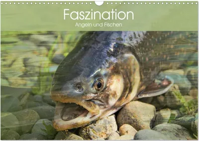 Produktbild von Faszination Angeln und Fischen (Wandkalender 2026 DIN A3 quer), CALVENDO Monatskalender