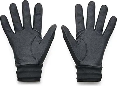 Produktbild von UnderArmour Men's ColdGear® Infrared Golf Handschuhe, Größe:L