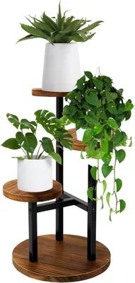Imagen del producto de Soporte para plantas de 3 niveles, estante metálico de madera para exhibición en interiores y exteriores, soporte para macetas para esquinas, ideal para salones, balcones, jardines, terrazas (3 niveles, color )
