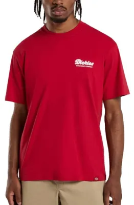 Produktbild von DICKIES - Lewistown-T-Shirt für Männer - Größe S
