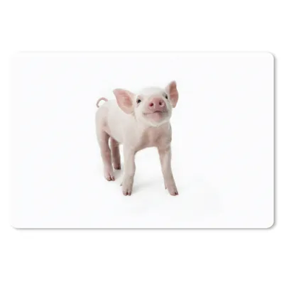 Produktbild von MuchoWow® Schreibtischunterlage Schwein - Tiere - Weiß 60x40 cm - XXL Mauspad - Großes Mauspad