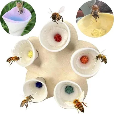 Image de Des abreuvoirs pour abeilles blancs pour le jardin