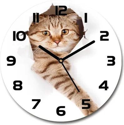 Produktbild von Wanduhr aus Glas 30fi Glasbild Glasuhr Gehärtetes Glas - schwarze-zeiger - Cat
