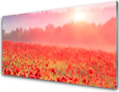 Produktbild von Küchenrückwand aus Glas 100x50cm Spritzschutz Wiese Blumen Natur