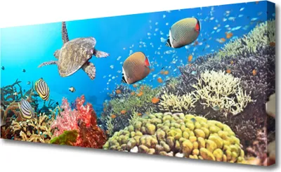 Produktbild von Tulup Leinwand-Bilder 125x50 Wandbild Canvas Kunstdruck Korallenriff Landschaft