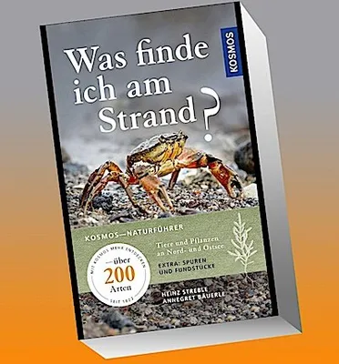 Produktbild von Was finde ich am Strand?