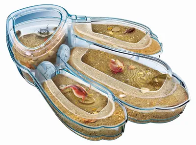 Produktbild von Original Triops Maxi de Luxe von Galileo