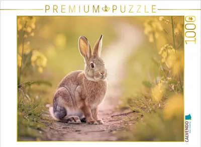 Produktbild von CALVENDO Puzzle Pastellhasen: Kleine Freunde für große Momente. | 1000 Teile Lege-Größe 64x48cm Foto-Puzzle für glückliche Stunden