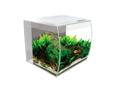 Productafbeelding van Fluval Flex | 34L | 35 x 33 x 33CM Wit Aquarium Complete set