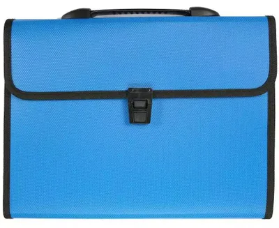 Imagen del producto de Carpeta A4 con 12 compartimentos y asa, de color azul