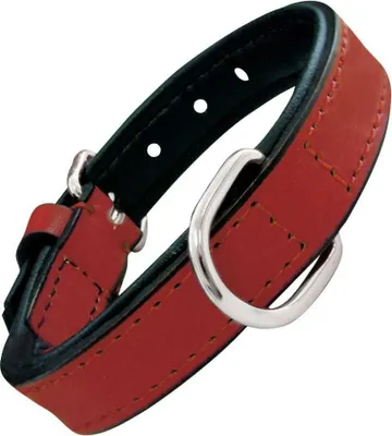 Produktbild von Hundehalsband Gloria Polsterung Rot (45 x 2 cm)
