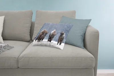 Produktbild von MuchoWow® Zierkissen Sofakissen Wohnzimmer Dekokissen 60x40 cm Tiere - Schnee - Amerika - Kopfkissen - Polster mit Foto