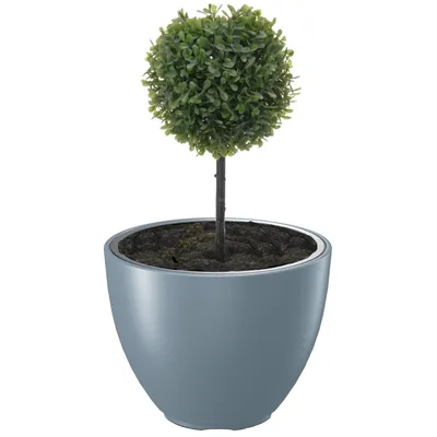 A potted plant with a spherical topiary in a modern gray pot.