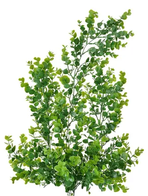 Image de Clayre & Eef Plante artificielle 80 cm Vert Plastique
