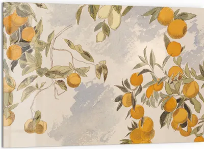 Produktbild von DEQORI Küchenrückwand Glas 60x40 cm 'Orangenpracht' Spritzschutz Bad Rückwand Küche