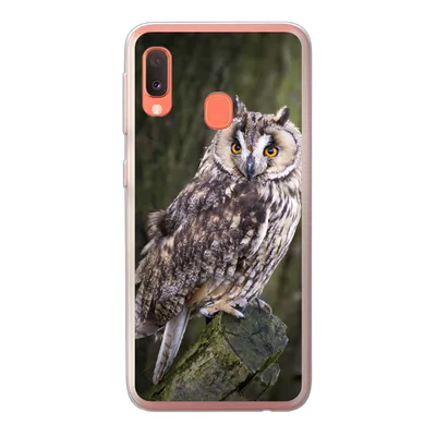 Produktbild von MuchoWow® Handyhülle Schutzhülle Hülle für Samsung Galaxy A20e Eule - Nahaufnahme - Baum Silikon Softcase Handy Hülle - Abdeckung