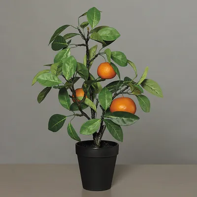 Produktbild von künstlicher Apfelsinenbaum H. 48cm in schwarzem Kunststofftopf DPI WA