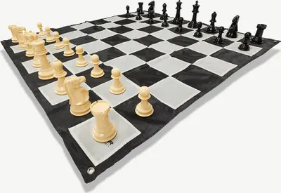 A chess set with pieces and a board laid out on a white background.