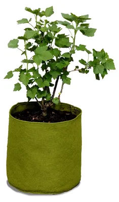 Produktbild von Pflanzbeutel Haxnicks Vigo Pots, Grün, 18 x 18 x 20 cm