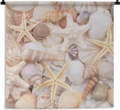 Produktbild von MuchoWow® Wandteppich Wandbehang Seestern - Muscheln - Strand - Sommer 60x60 cm Tapisserie Dekoration Wandtuch - Dekorationen - Wand Decke