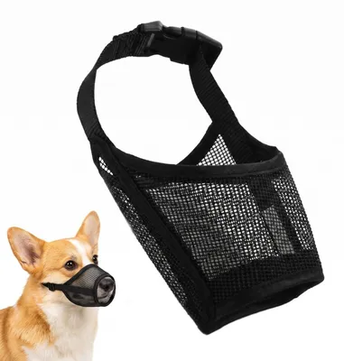 Hunde-Maulkorb, Fressschutz, mittelgroß, verstellbar, atmungsaktiv