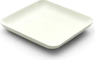 Immagine prodotto di Piatto di canna da zucchero bianco, quadrato, 120 x 120 x h 15 mm, 40 pezzi