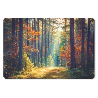 Produktbild von MuchoWow® Schreibtischunterlage Wald - Sonne - Natur - Herbst 60x40 cm - XXL Mauspad - Großes Mauspad