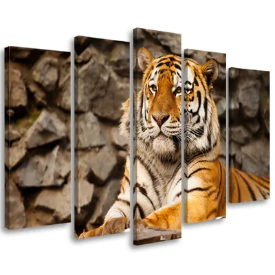 Produktbild von 5-teiliges leinwandbild afrika tiger tiere 150x100 cm Feeby orange wandbild bereit zum aufhängen