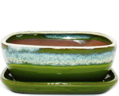 Immagine prodotto di ciotola bonsai con piattino misura 3 verde-beige rettangolare modello gb5 l 21,5 cm l 17 cm h 8 cm