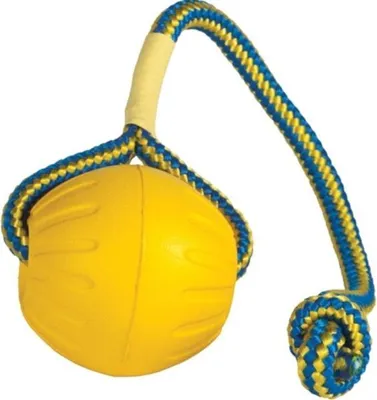Image de Balle de jeu pour chiens Balle d'entraînement avec ficelle