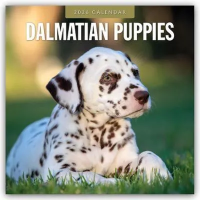 Immagine prodotto di Cuccioli di dalmata - Cuccioli di dalmata 2026 - Calendario di 16 mesi