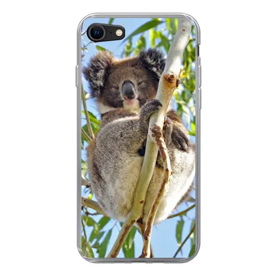 Produktbild von MuchoWow® Handyhülle Schutzhülle Hülle für iPhone 8 Koala - Luft - Zweige - Jungen - Mädchen Silikon Softcase Handy Hülle - Schutzhaube