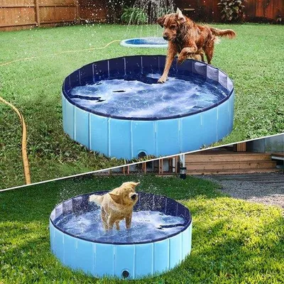 Immagine prodotto di Piscina portatile pieghevole per bambini e animali domestici, 40 L x 200 L x 100 A mm, Sommerpool