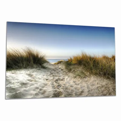 Produktbild von Wallario Herdabdeckplatte aus Glas, Größe 80 x 52 cm 1-teilig, Motiv Weg durch die Dünen zum Strand am Meer