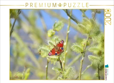Produktbild von CALVENDO Puzzle Tagpfauenauge 2000 Teile Puzzle quer | 2000 Teile Lege-Größe 90x67cm Foto-Puzzle für glückliche Stunden