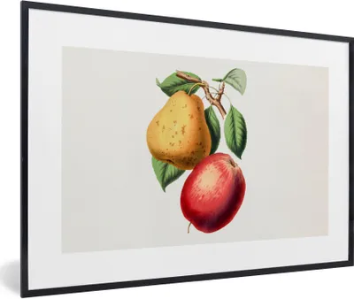 Produktbild von MuchoWow® Gerahmtes Poster Birne - Apfel - Obst 90x60 cm - Poster mit Schwarzem Bilderrahmen Wandposter Rahmen Foto Bilder - Fotorahmen - Foto-Plakat