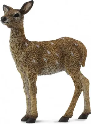 Immagine prodotto di COLLECTA Colombaccio di legno