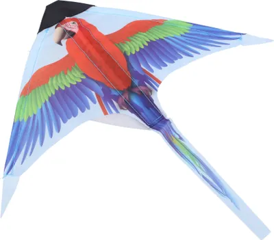 Produktbild von Drachen-Schleuderpapagei 38 cm