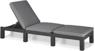 Produktbild von Famanu Liegestuhl für Garten, Terrasse und Balkon - Verstellbare Kopfstütze, Grau mit Kissen